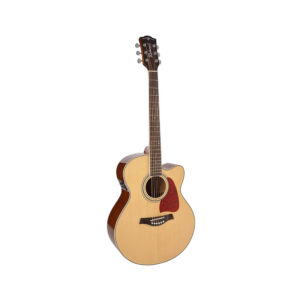 RJ-17-CE |Richwood Artist Series acoustic guitar