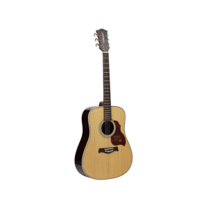 D-265-VA |Richwood All Solid Master Series custom shop dreadnought